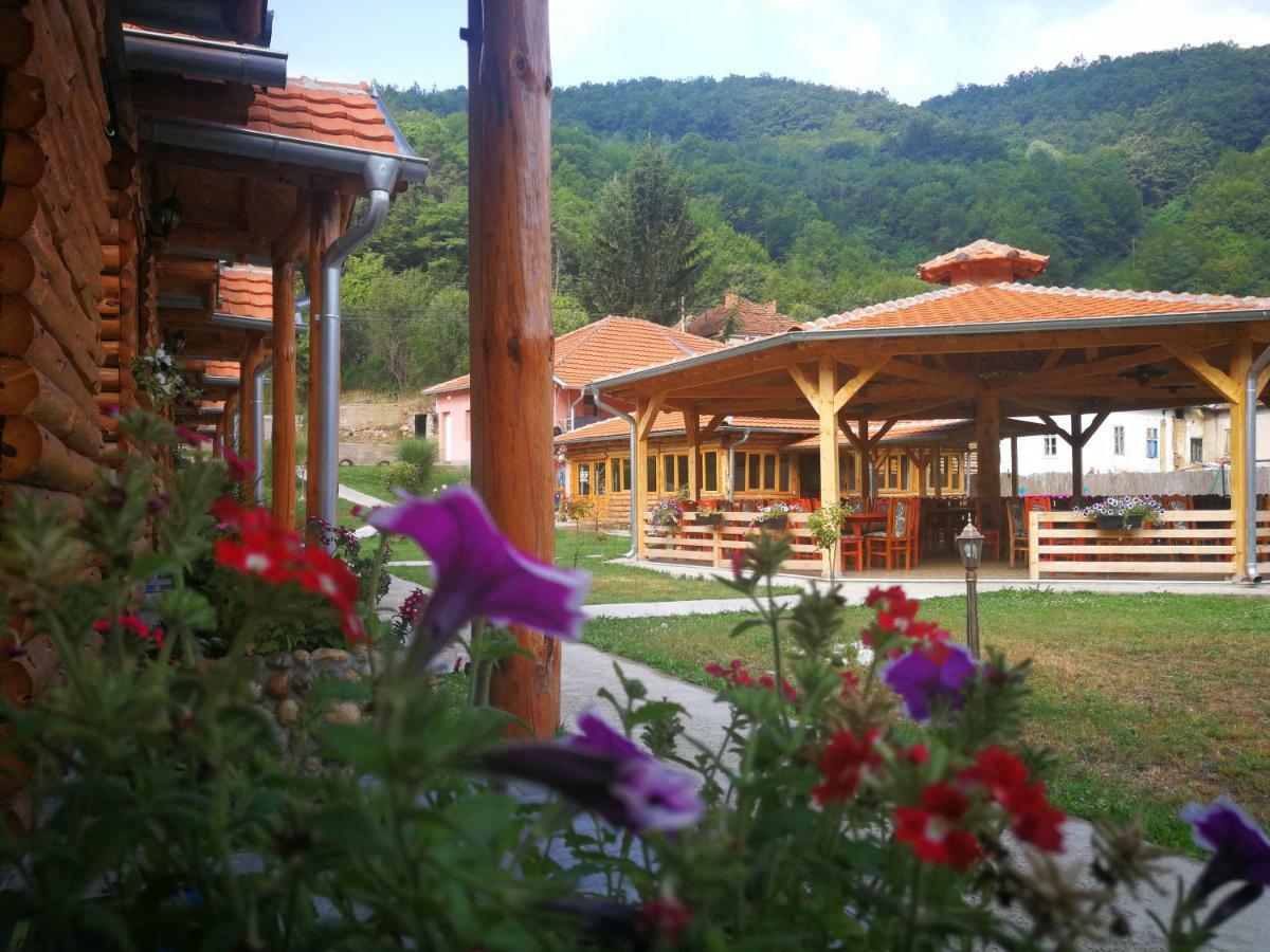 Juzni Vetar Hotel Trnski Odorovci Exterior photo